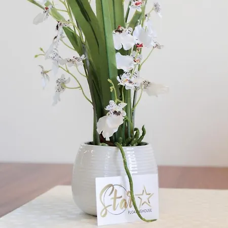 Star 1 Floating House, Marina Ferienhaus *