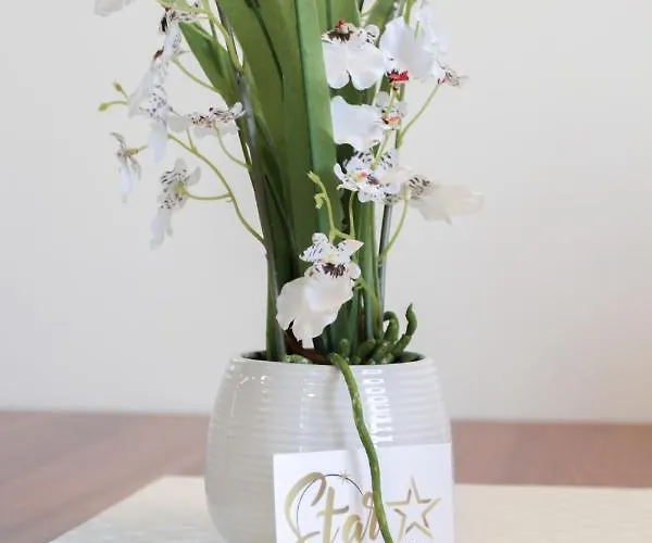 Star 1 Floating House, Marina Casa de Férias *